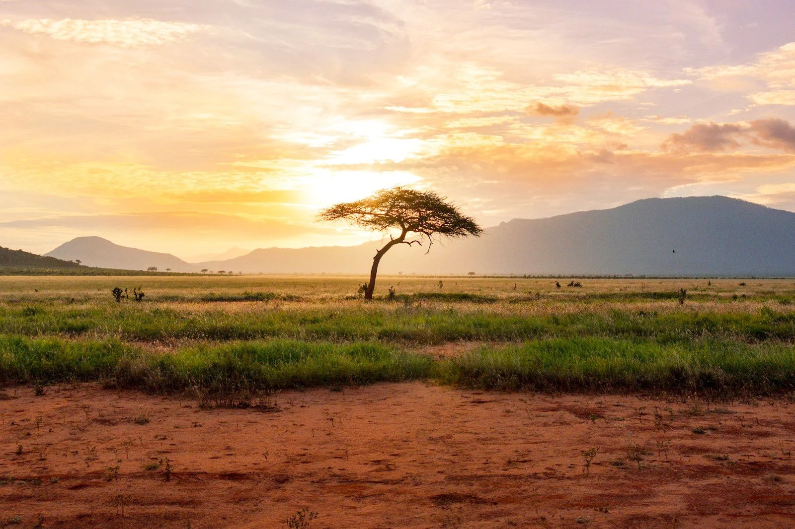 eSIM 1GB 7 Days Africa