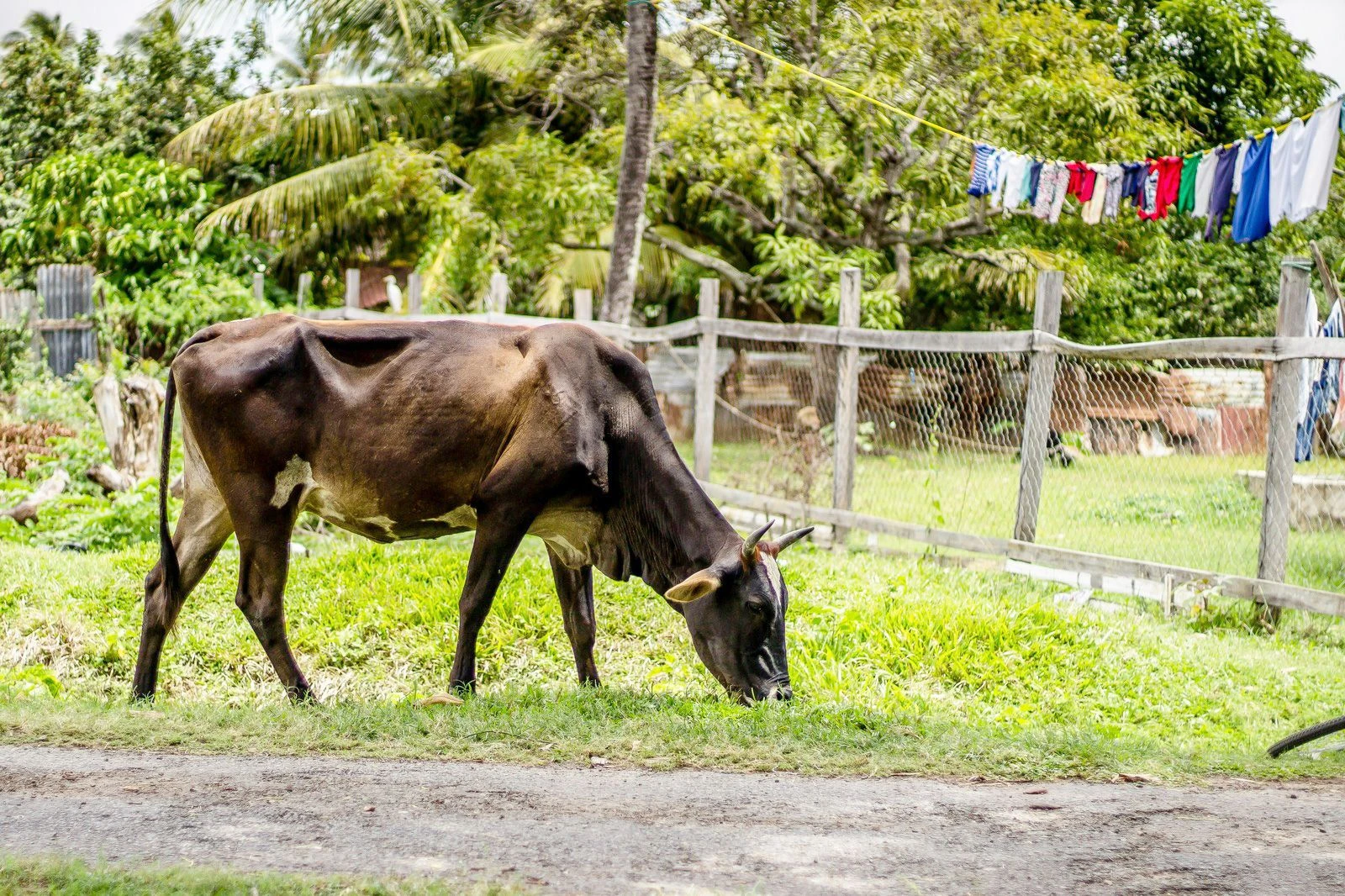 eSIM 1GB 7 Days French Guiana