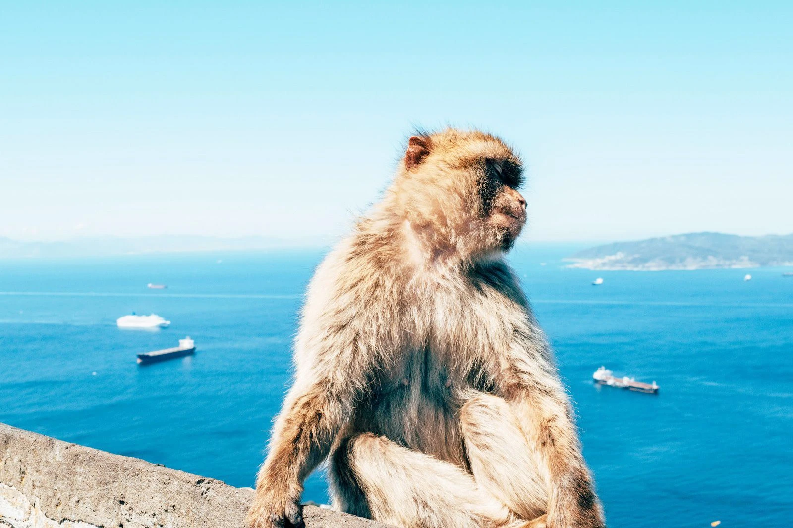 eSIM 1GB 7 Days Gibraltar