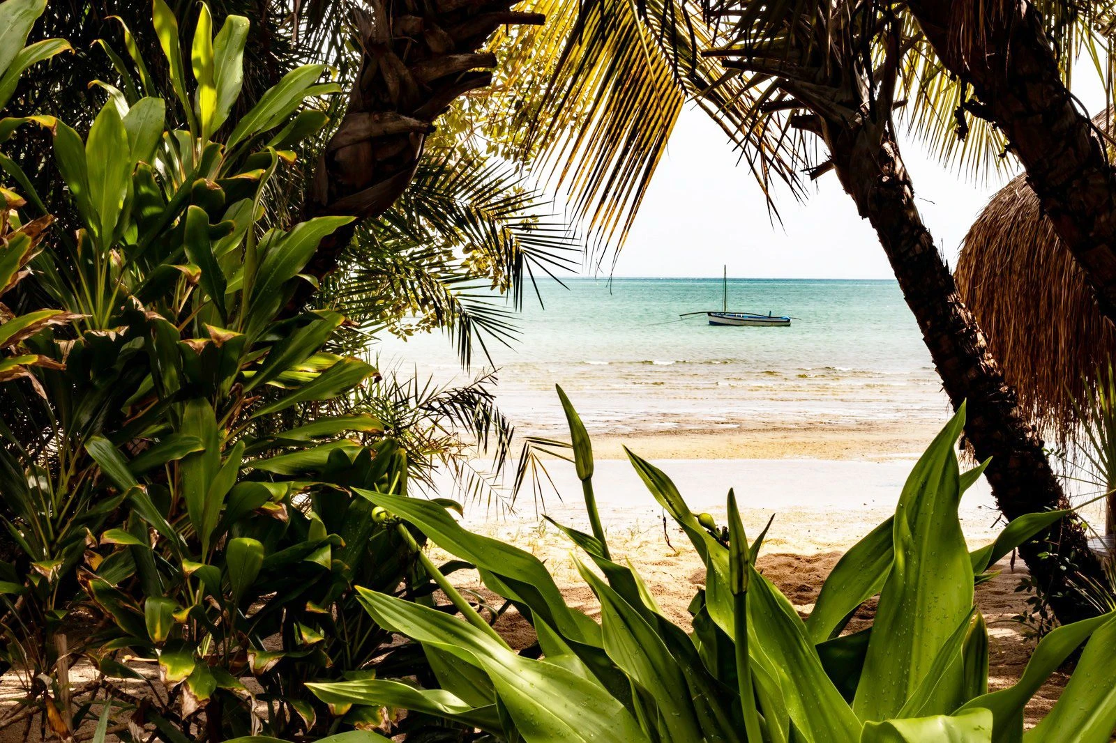 eSIM 1GB 7 Days Mozambique