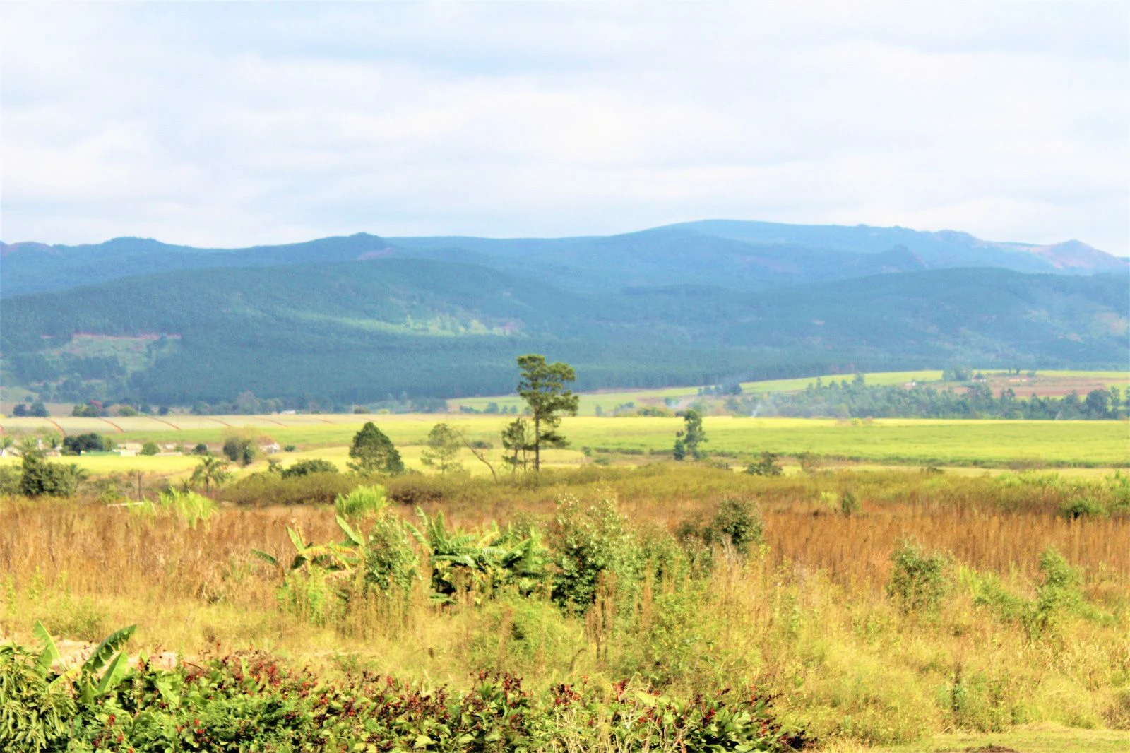 eSIM 1GB 7 Days Swaziland